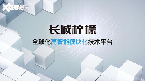 沒有大梁科技湊 哈弗大狗越野性能解析與新材料技術(shù)賦能